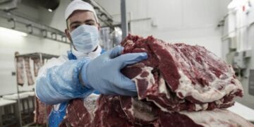 Creció la producción y el consumo de carne bovina en el primer semestre