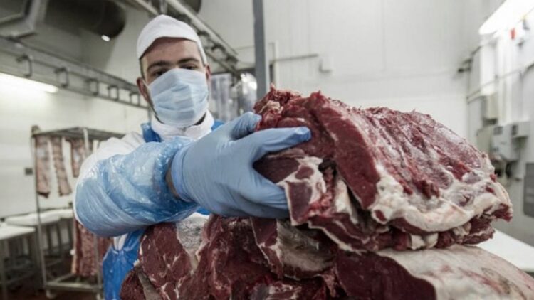 Creció la producción y el consumo de carne bovina en el primer semestre