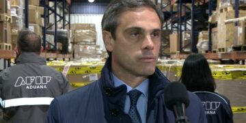 La Aduana denunció una maniobra de «alquiler de cautelares» para acceder al dólar oficial