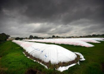 El Presidente cargó contra los especuladores que acopian granos