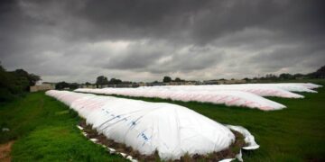 El Presidente cargó contra los especuladores que acopian granos