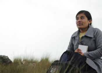 Amor por las imágenes en movimiento