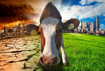 La ganadería puede ser parte de la solución al cambio climático
