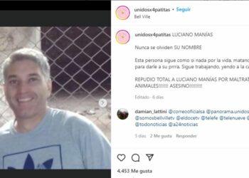 Denuncian a un hombre que alimentaba a su pitbull con otros perros