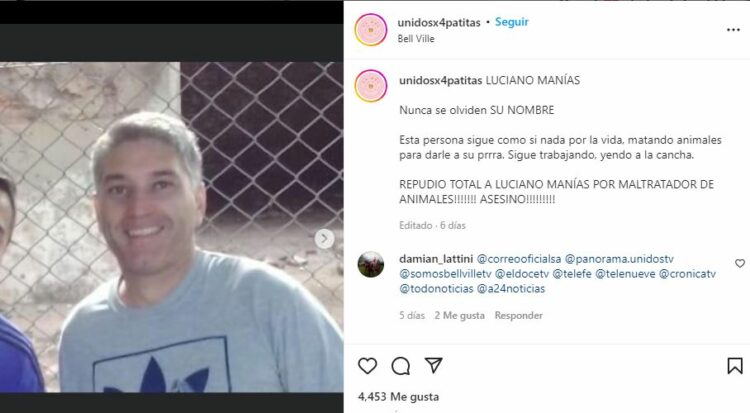Denuncian a un hombre que alimentaba a su pitbull con otros perros