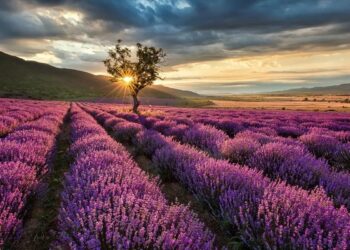 Seis rincones cordobeses para visitar en días grises