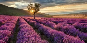 Seis rincones cordobeses para visitar en días grises