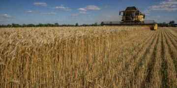 Rusia pidió a la ONU que facilite el levantamiento de sanciones para la exportación de granos
