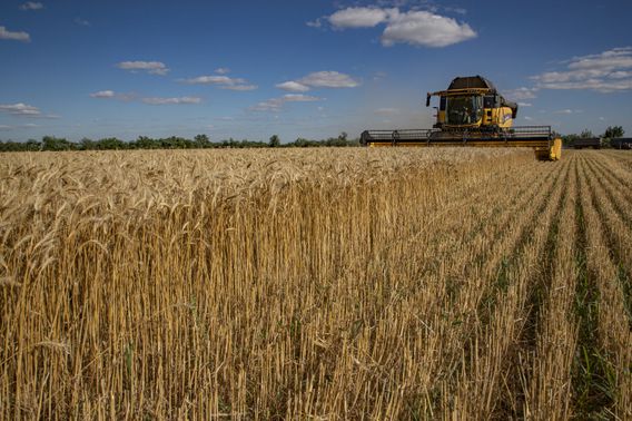 Rusia pidió a la ONU que facilite el levantamiento de sanciones para la exportación de granos