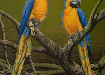 Llega a la ciudad el ciclo itinerante “¡Hacemos cine!”