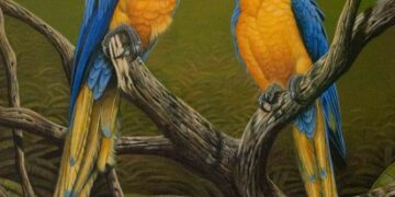 Llega a la ciudad el ciclo itinerante “¡Hacemos cine!”