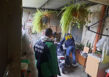 Desarticulan una banda dedicada a realizar estafas telefónicas desde la cárcel de San Francisco