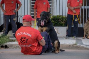 Actividades recreativas para compartir en familia en el receso escolar