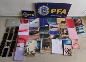 Cae una organización criminal por explotación laboral y estafas virtuales piramidales