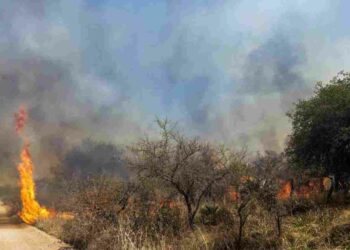 Continúa el riesgo extremo de fuego forestal