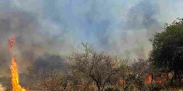 Continúa el riesgo extremo de fuego forestal