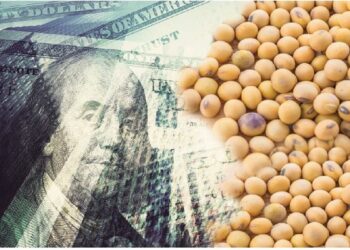 Para el Gobierno, el nuevo «dólar soja» tendrá una «gran aceptación» por parte del sector agropecuario