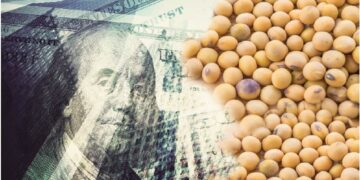 Para el Gobierno, el nuevo «dólar soja» tendrá una «gran aceptación» por parte del sector agropecuario