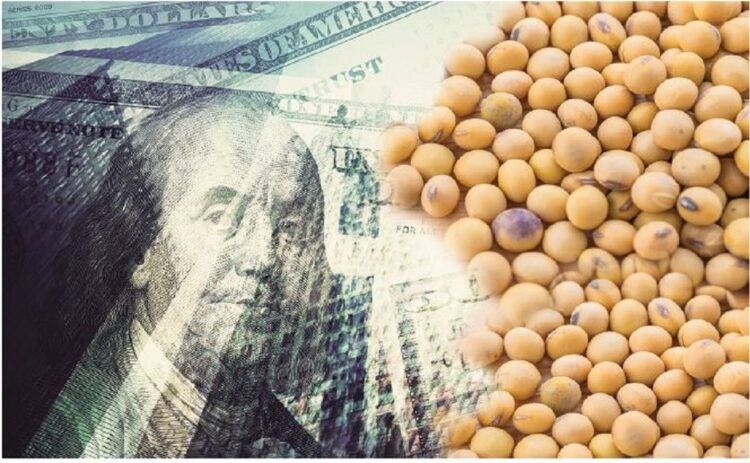 Para el Gobierno, el nuevo "dólar soja" tendrá una "gran aceptación" por parte del sector agropecuario