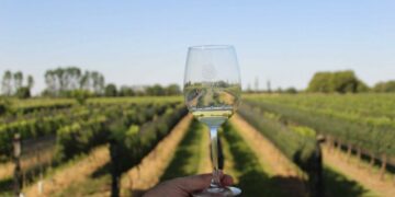 Córdoba busca posicionar al vino como producto turístico