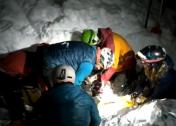 Un perro salvó a un esquiador que quedó bajo un metro y medio de nieve