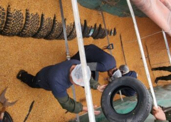 Detectaron un camión que transportaba 117 neumáticos de contrabando