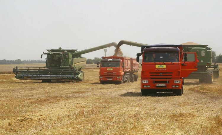 Se agrava la crisis de alimentos por el conflicto