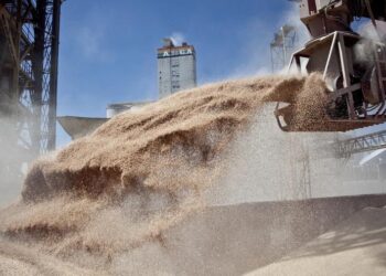 Con control de la ONU, Rusia libera los granos ucranianos