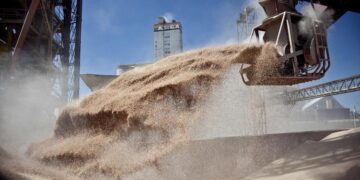 Con control de la ONU, Rusia libera los granos ucranianos