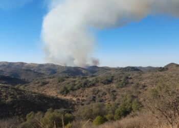 Bomberos combaten un incendio en el Camino del Cuadrado