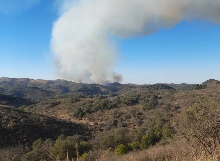 Bomberos combaten un incendio en el Camino del Cuadrado