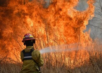 Cinco provincias azotadas por los incendios