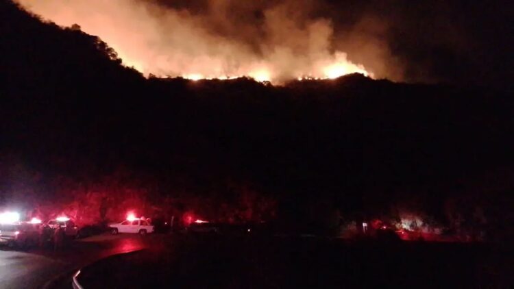 Se consumieron 70 hectáreas por un incendio en Los Molinos