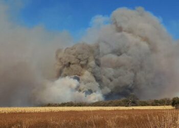 Un incendio mantuvo en vilo a Salsipuedes el fin de semana