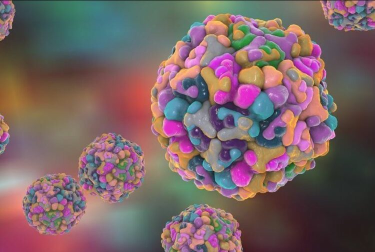 Investigadores descubren una causas de la resistencia de los tumores a los fármacos