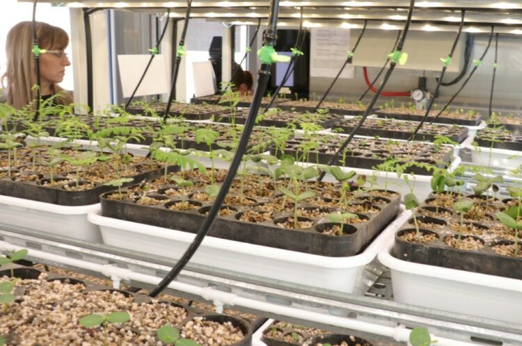 Gen Nativo: El nuevo laboratorio multiplicador de árboles nativos