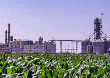 Costamagna: «la producción santafesina de biodiesel resuelve el abastecimiento»