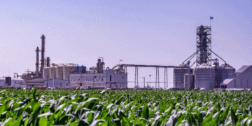 Costamagna: «la producción santafesina de biodiesel resuelve el abastecimiento»