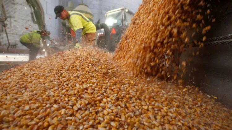 Estiman pérdidas de US$ 7.000 millones en la producción de granos en Córdoba por la sequía