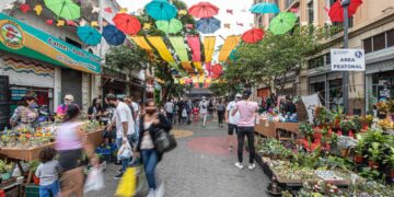 El día de Córdoba en el Mercado Norte