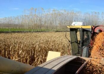 Empresarios locales vaticinan una profundización de la crisis