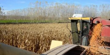 Empresarios locales vaticinan una profundización de la crisis