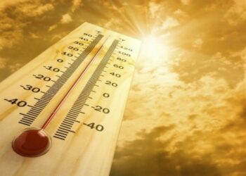 La OMM estimó que el mundo vivirá olas de calor como las actuales al menos hasta 2060