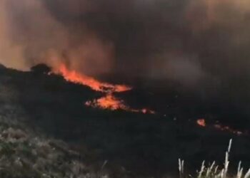 Lograron controlar el incendio sobre el Camino del Cuadrado