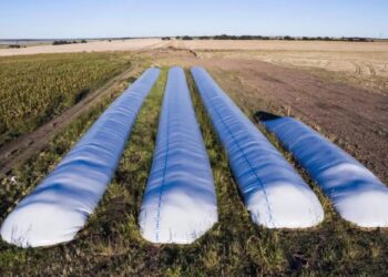 La Sociedad Rural cuestionó la aplicación del «dólar soja»