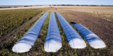 La Sociedad Rural cuestionó la aplicación del «dólar soja»