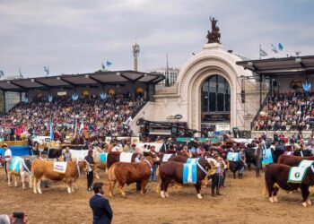 Los movimientos oficialistas ratifican la marcha a la Rural