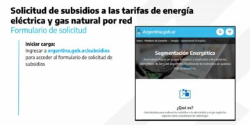El Gobierno inició el proceso de segmentación de las tarifas de la energía eléctrica y el gas