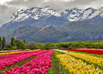 Estos son los tres pueblos argentinos que competirán para ser distinguidos como el mejor del mundo