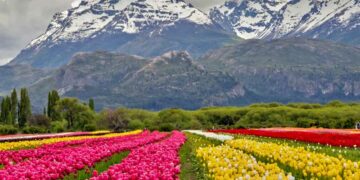 Estos son los tres pueblos argentinos que competirán para ser distinguidos como el mejor del mundo